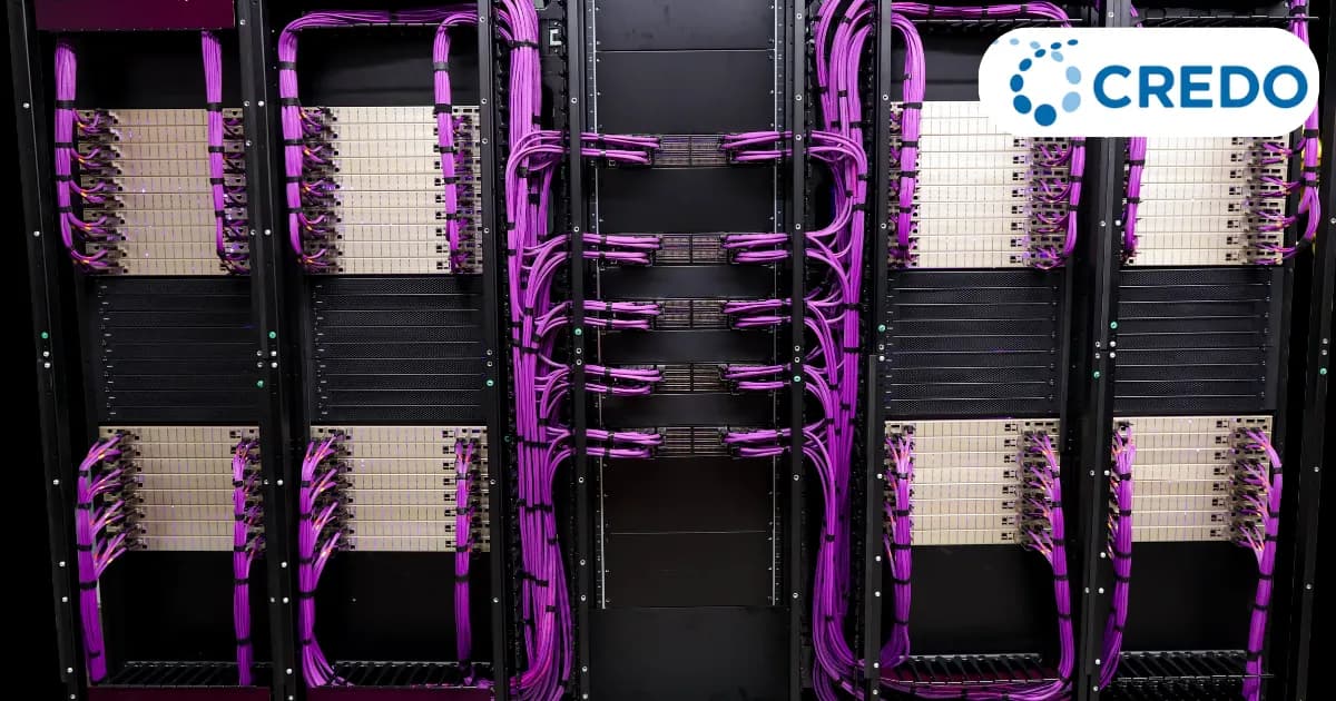 CRDO: หุ้นเล็กที่อยู่เบื้องหลังคลื่น AI – เจาะลึกโอกาสการเติบโตในระยะยาว