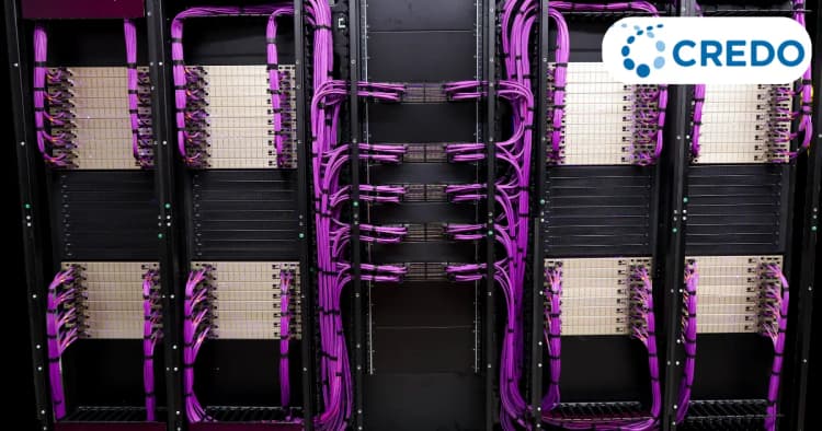 CRDO: หุ้นเล็กที่อยู่เบื้องหลังคลื่น AI – เจาะลึกโอกาสการเติบโตในระยะยาว